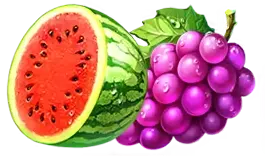 Watermelon and grapes symbol payout icon